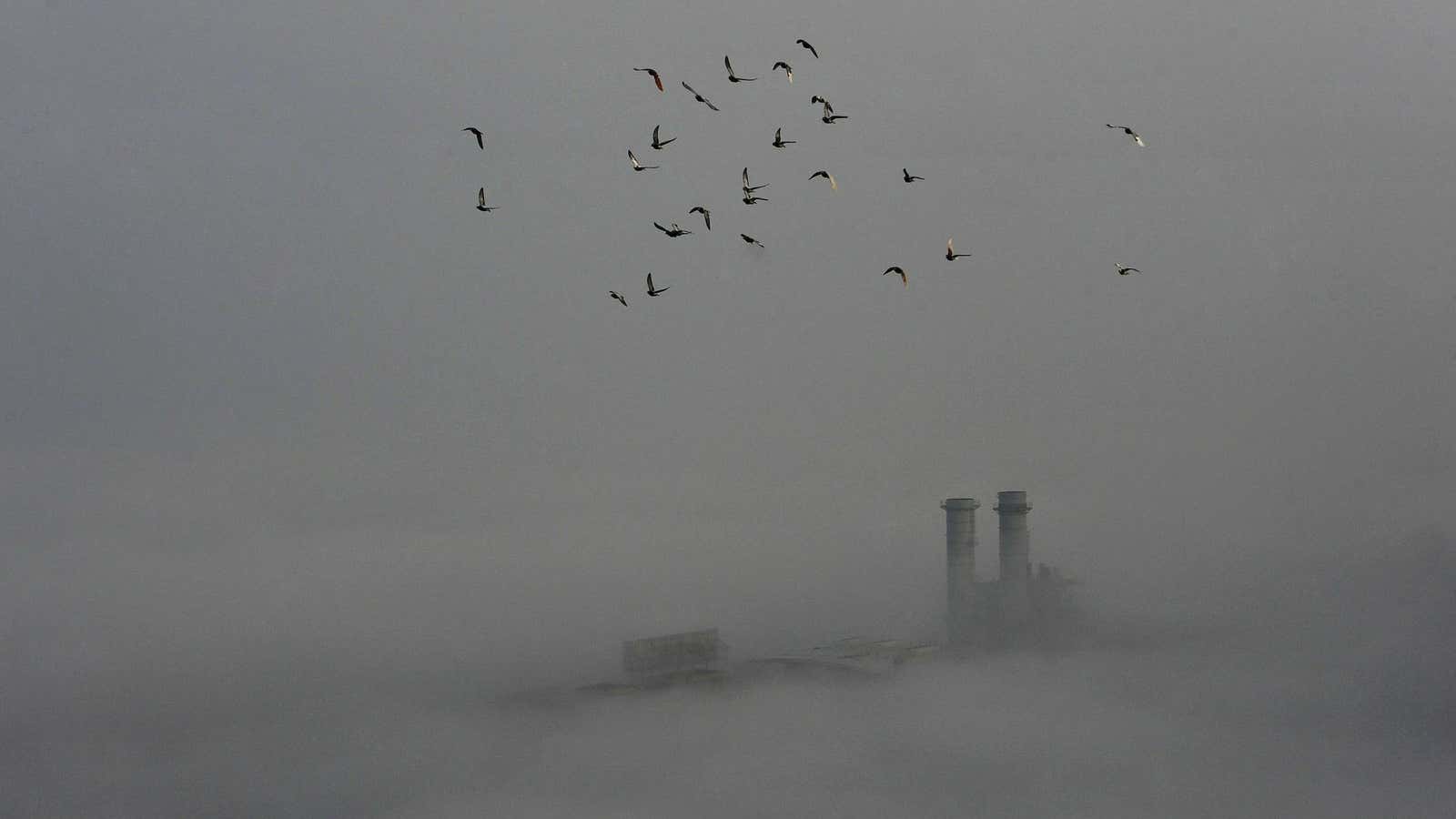 Another smoggy day in Wuhan