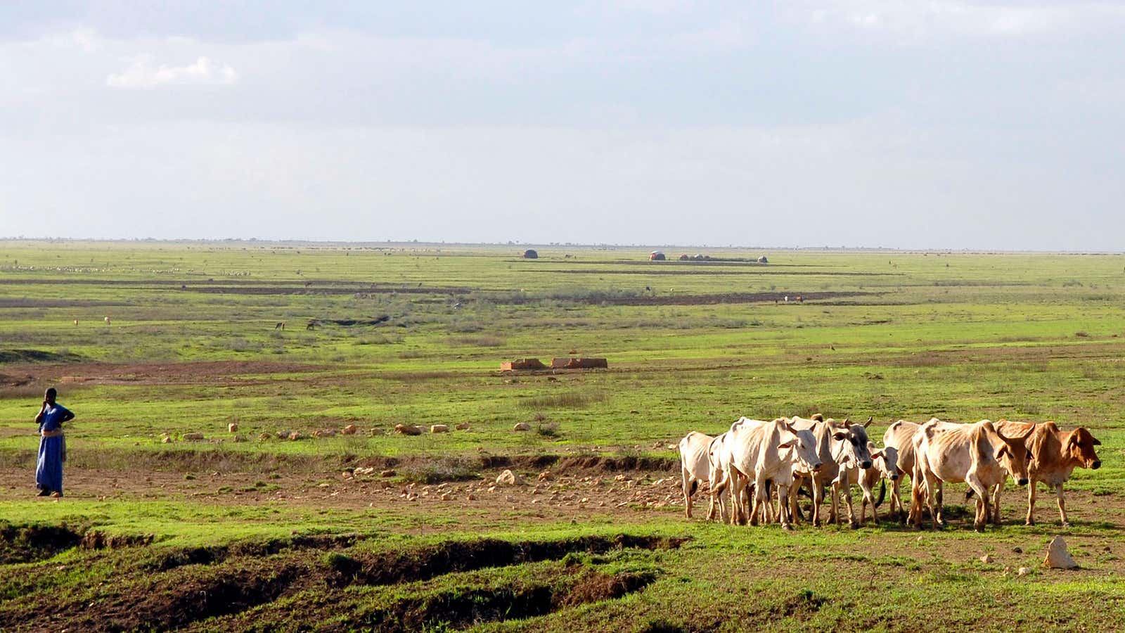 On the plains of Ethiopia’s Somali region, outside the regional capital of Jijiga