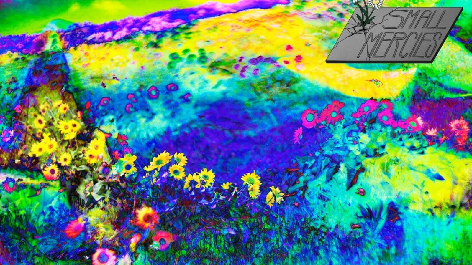 Small Mercies: Magic Mushrooms Helped Me Regain Control of My Brain