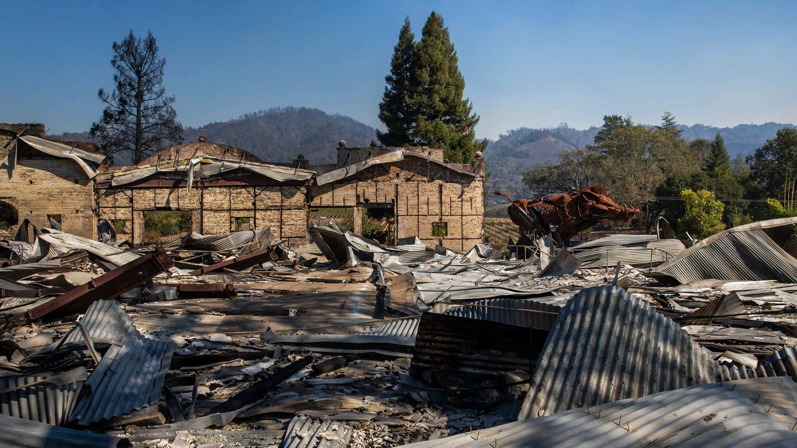 “Lord Snort”, a steel sculpture of a boar, one of the only structures to survive, is seen among the rubble after the Soda Rock Winery.