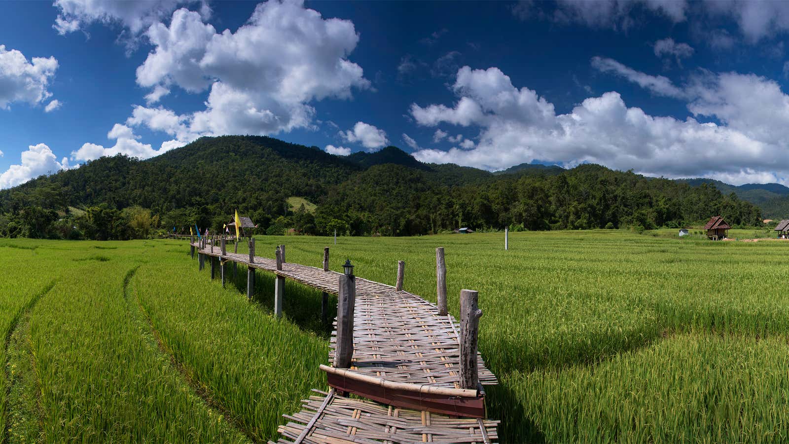 Thailand is pioneering ways to feed tomorrow’s billions