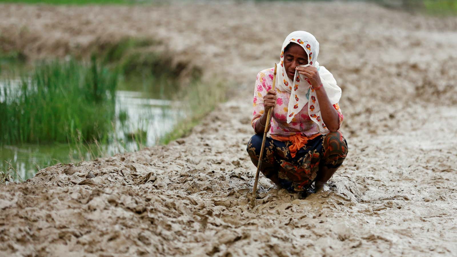 A Rohingya refugee in Bangladesh.