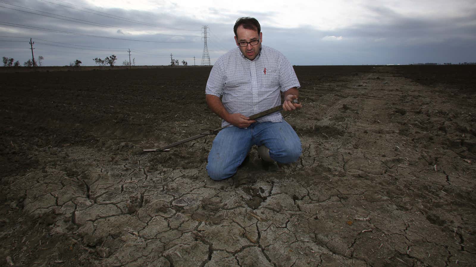 It’s been a tough year for tomatoes in California.