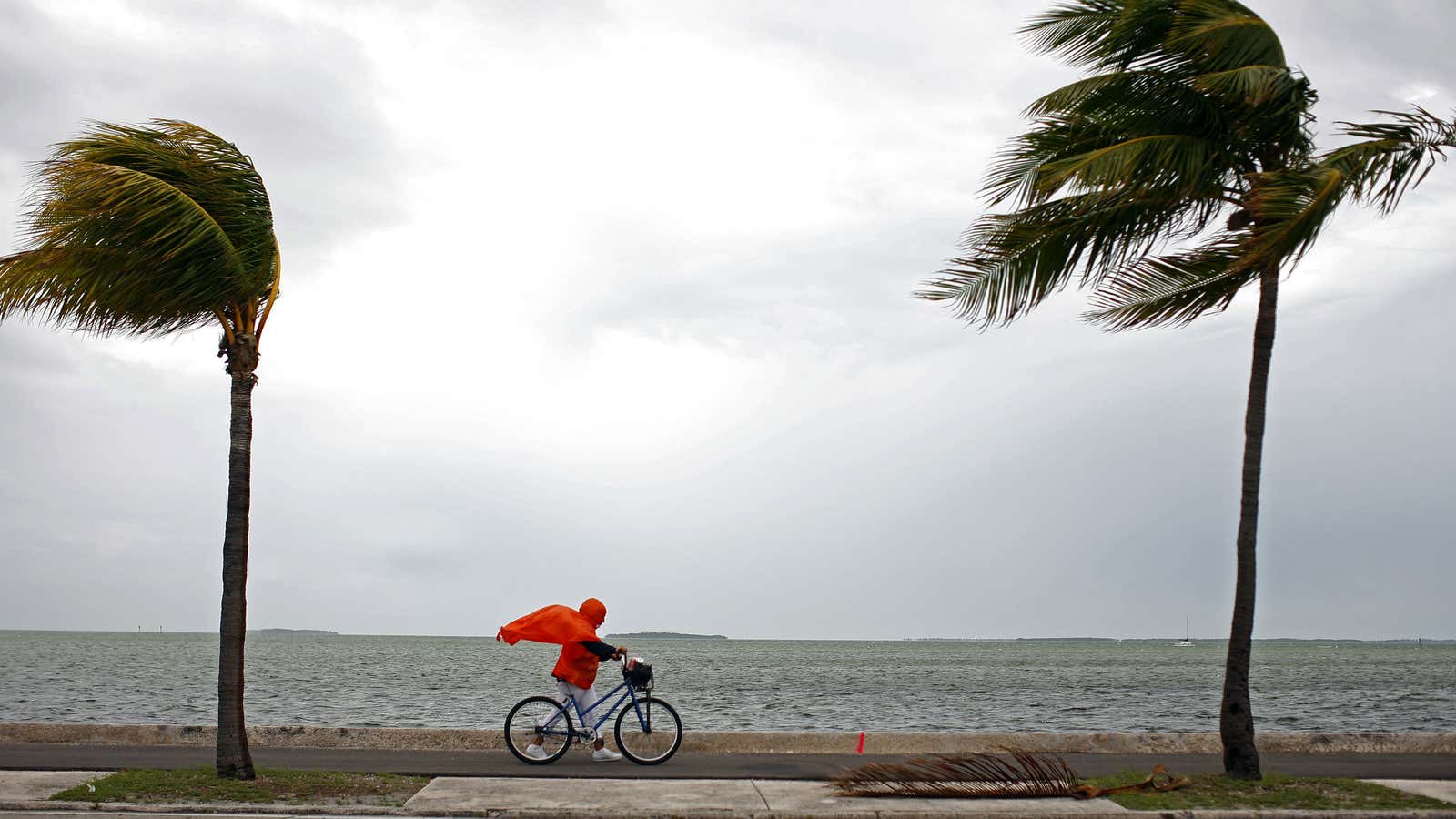 Hurricane Irma’s path is unclear, but it’s heading west.