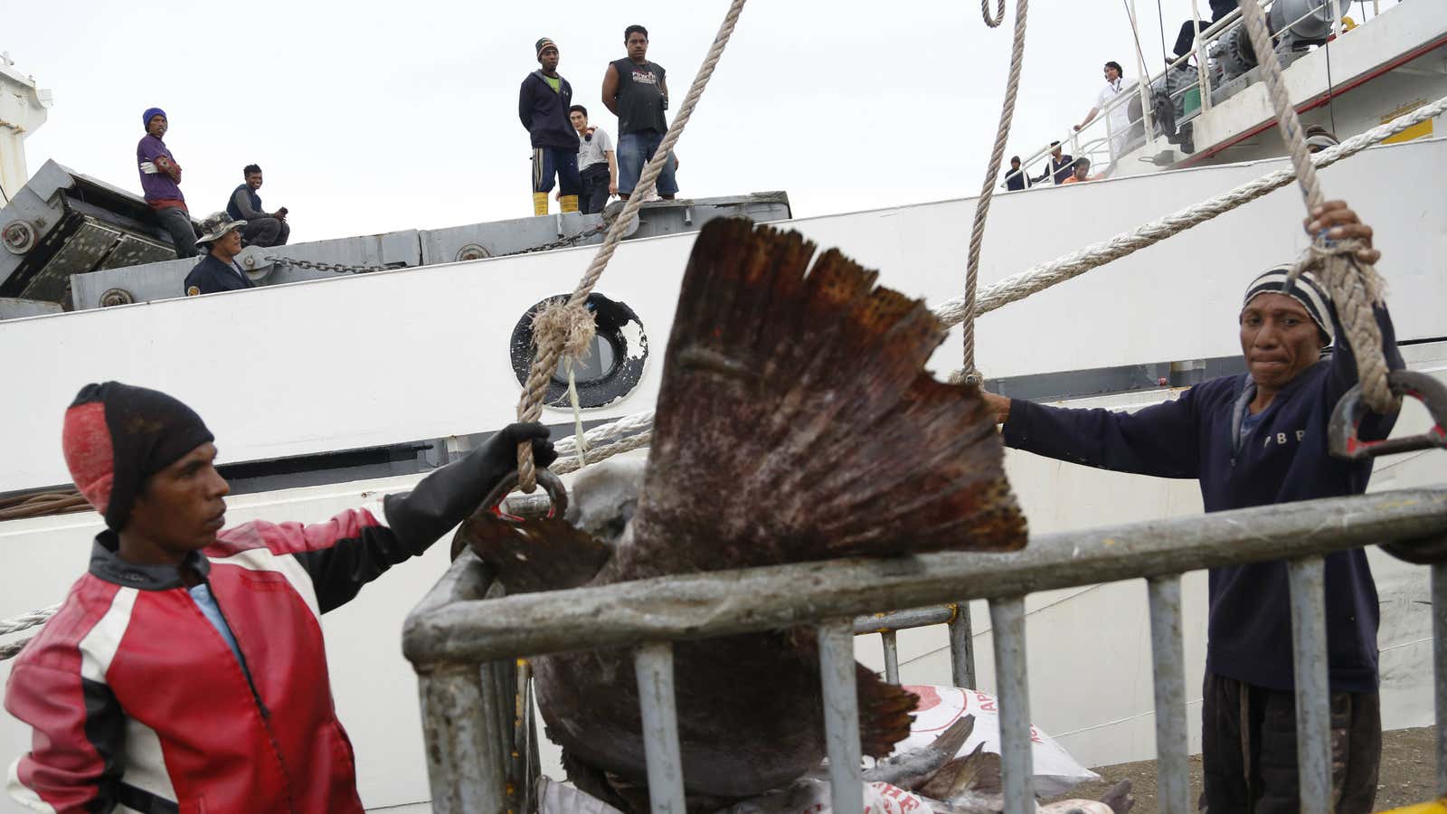 Workers load fish into a cargo ship bound for Thailand.