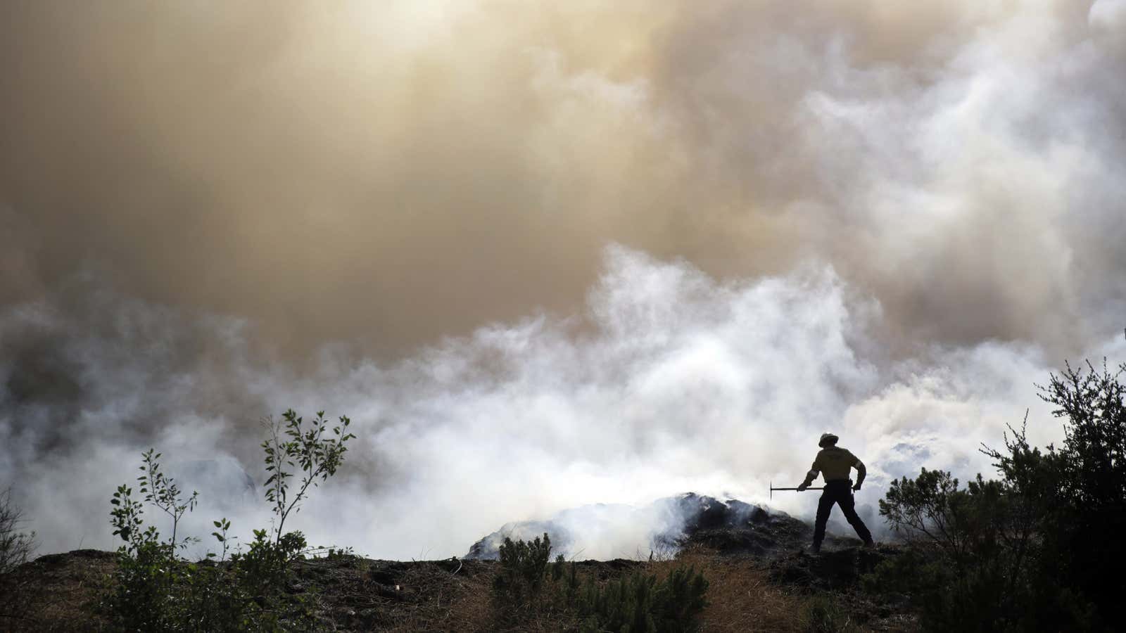 Reports detailing the massive environmental, economic, and human consequences of unfettered global warming have come at a fast and furious pace.