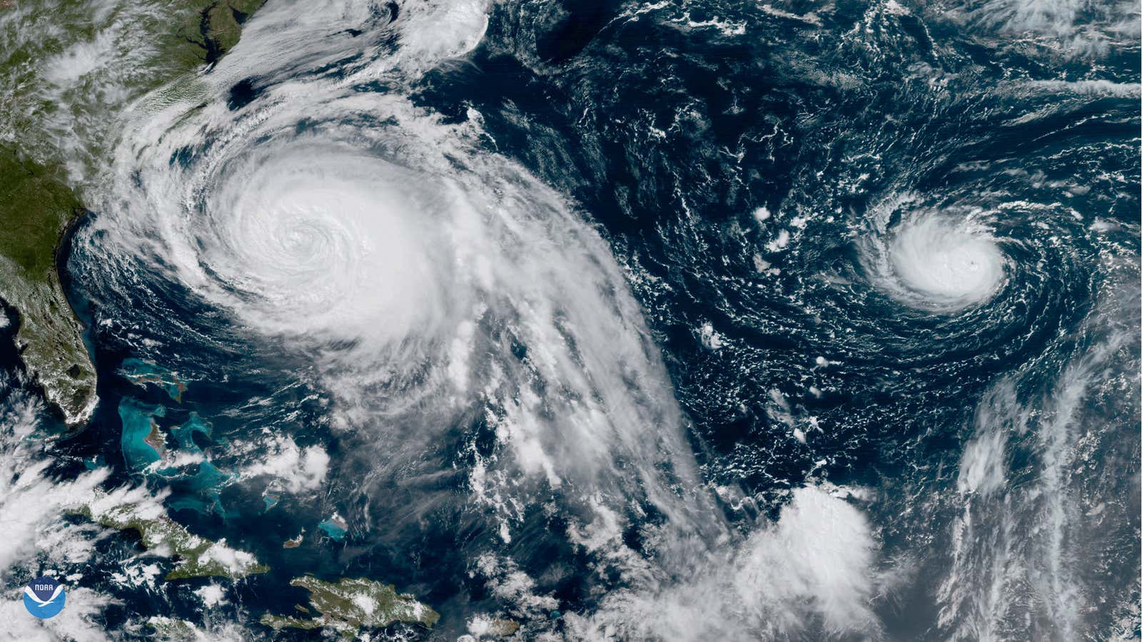 Maria and Lee tango in the Caribbean. They were not alone