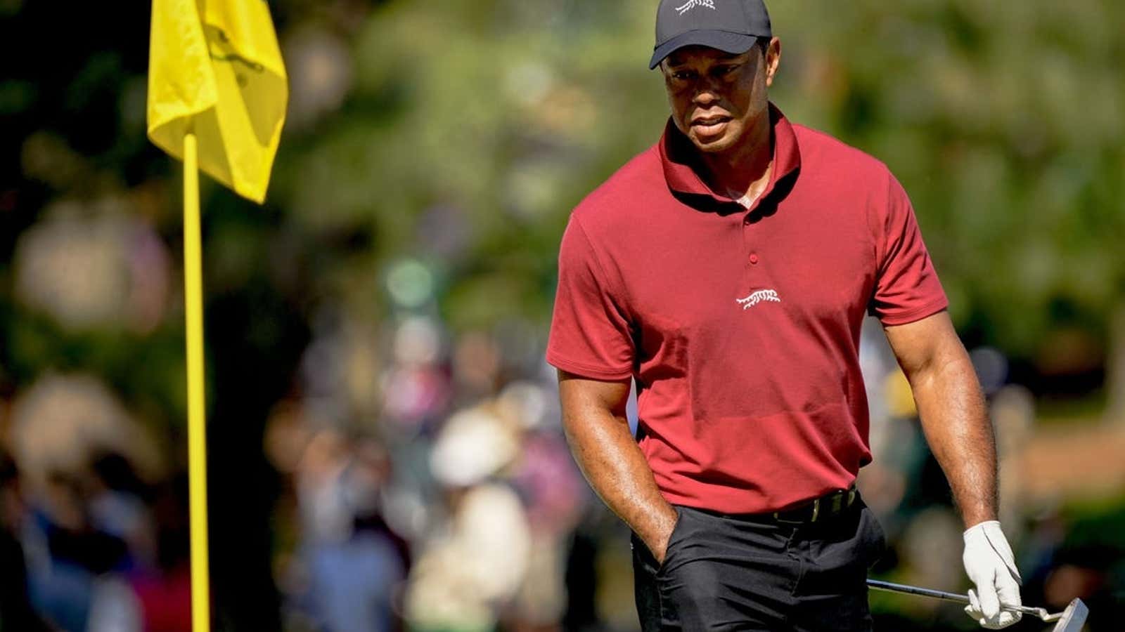 Image for Tiger Woods: Still on track for tournament per month target