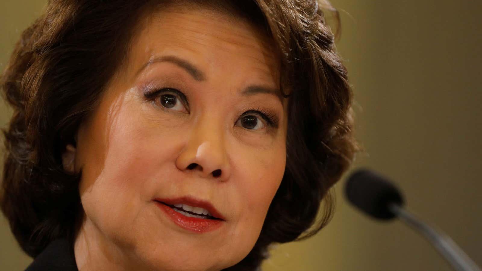 US Secretary of Transportation Elaine Chao testifies.