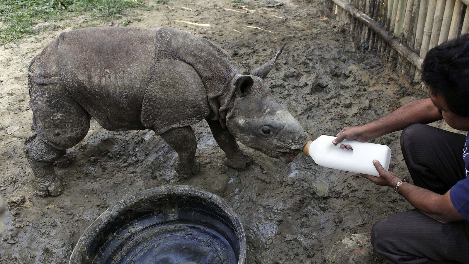 Don’t worry about this little guy. He’ll soon have a drone to protect him.