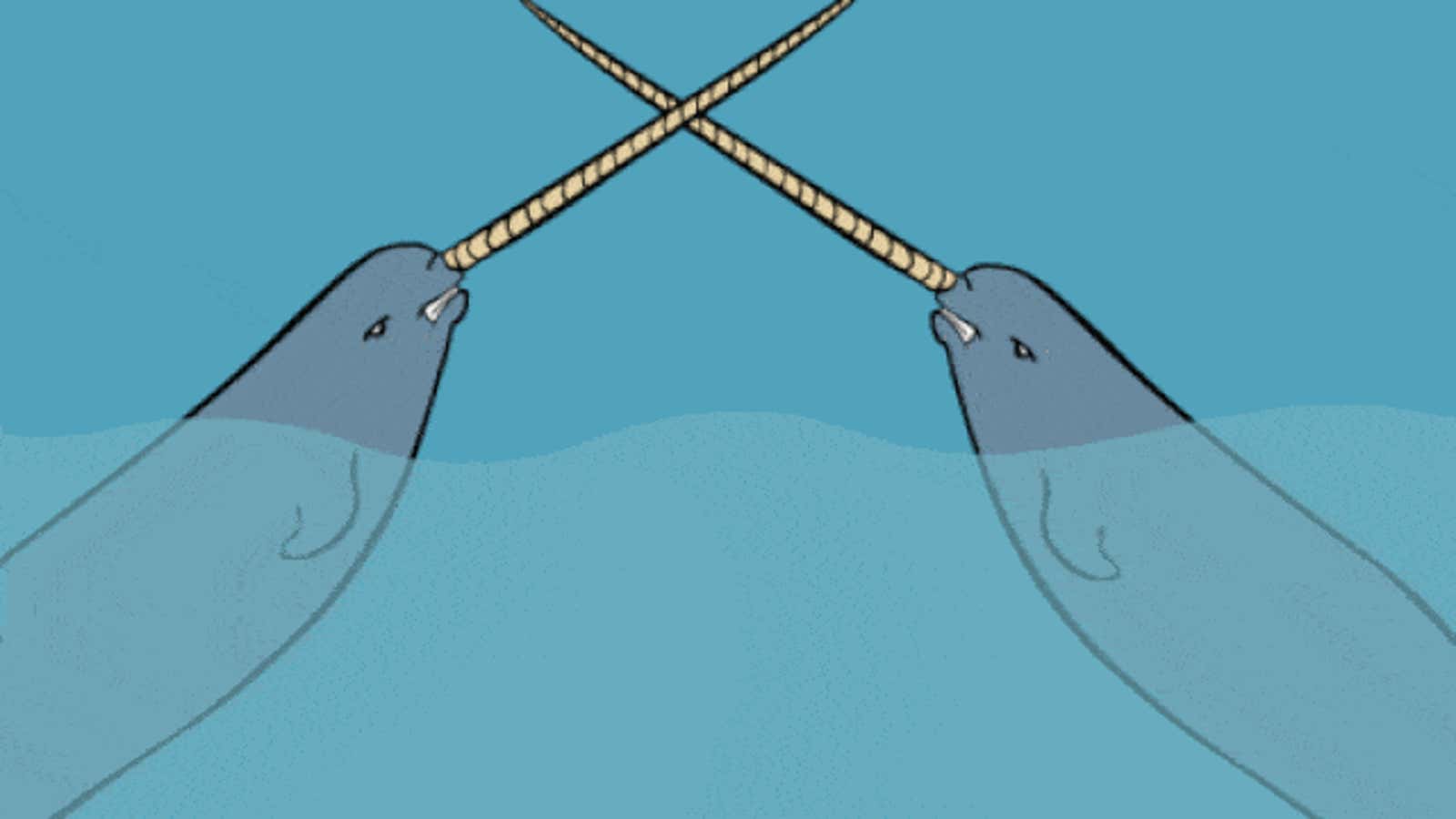 Narwhals