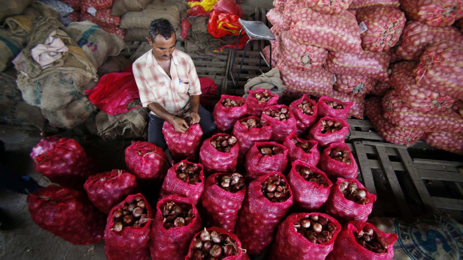 Tending to a volatile asset class, in Jammu.