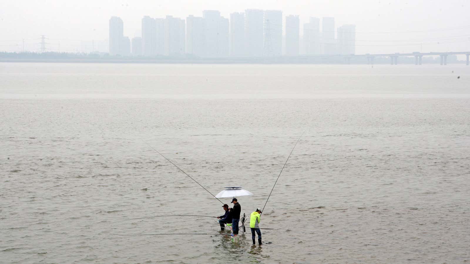 Hangzhou rises.