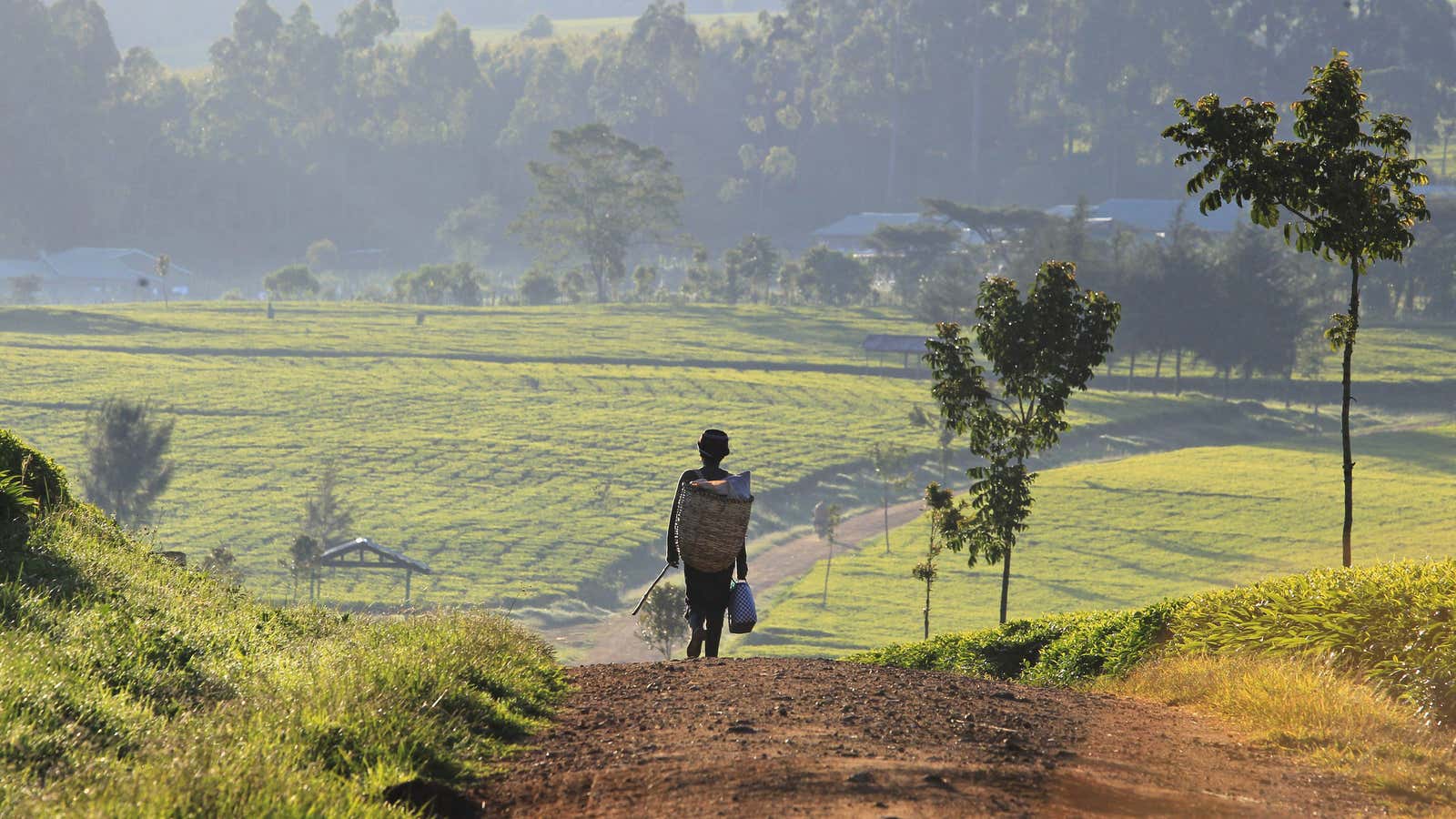 Walking to East Africa…picture taken November 5, 2014.