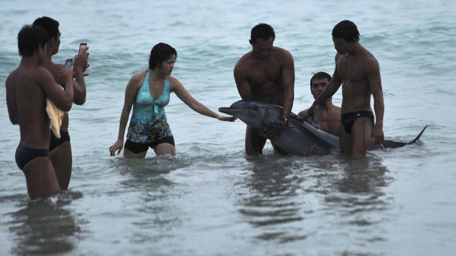 Chinese tourists breaking #24 of the Guide to Civilized Tourism and Travel (“don’t grab or remove any marine life”).