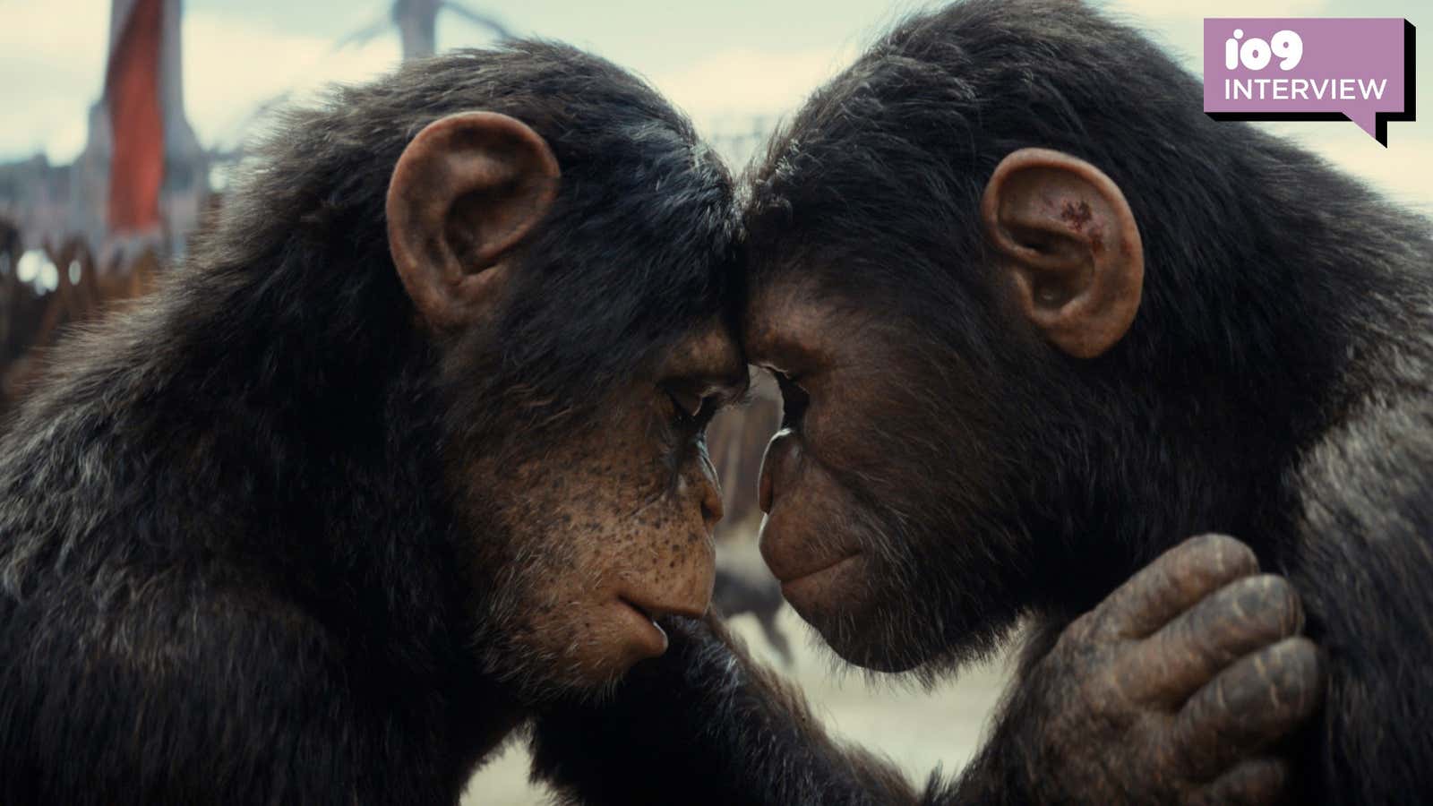 The stakes are high in Kingdom of the Planet of the Apes.