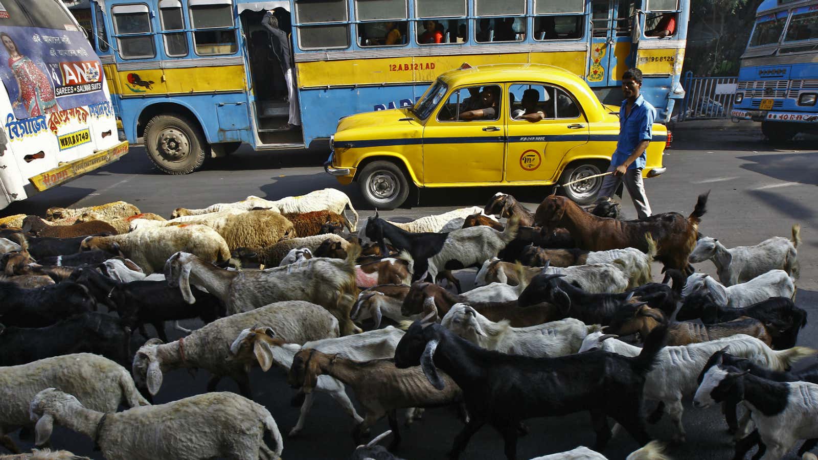 Just another Indian road.