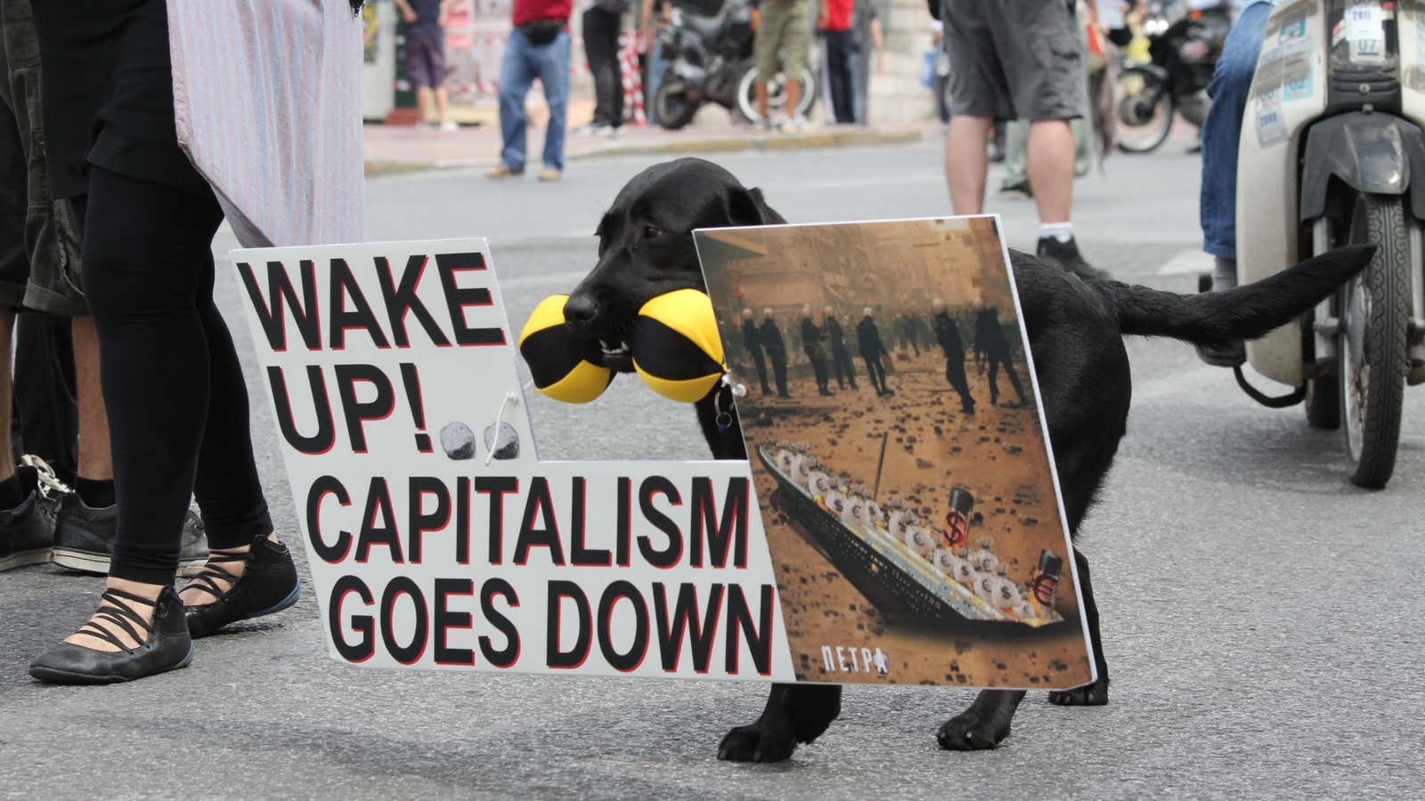 The “anti-capitalism” dog joins a protest against austerity measures in central Athens in 2011.