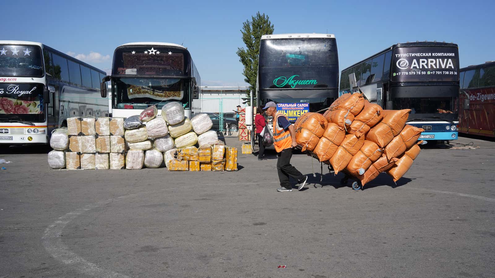 An unusual shopping tour.