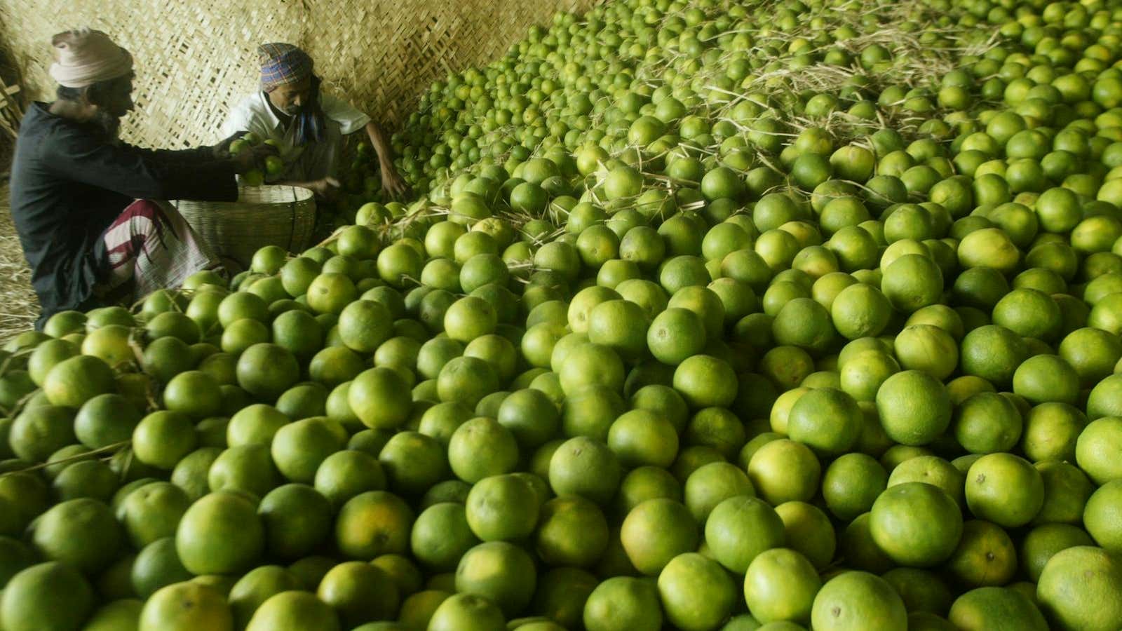 Farmers will be hit by low prices, but it will be a while before inflation eases.