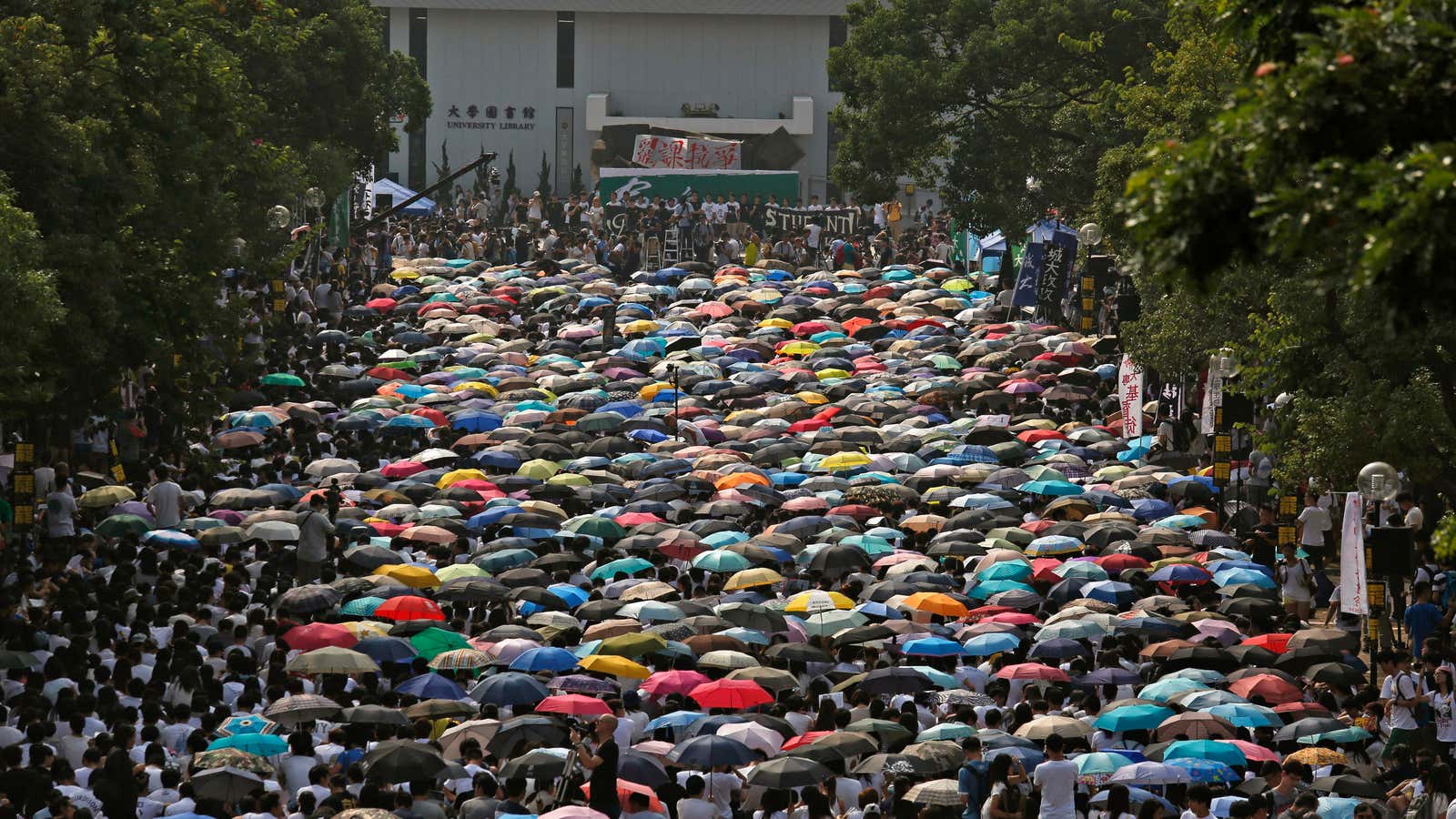 The Umbrella Revolution, IRL.