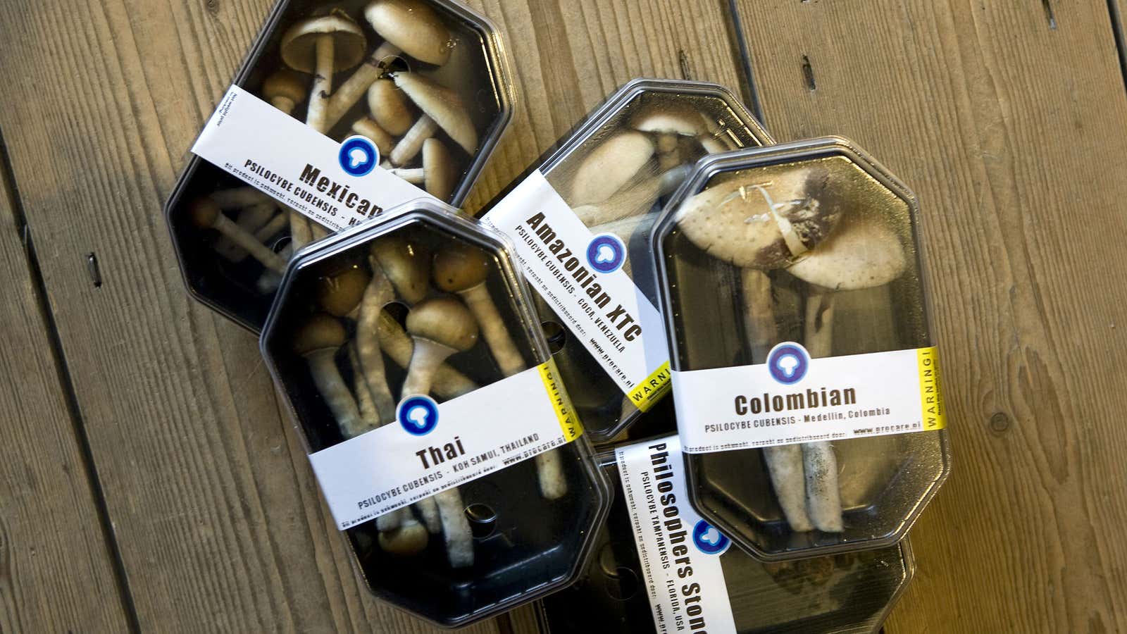 Psilocybin, found in magic mushrooms, is a powerful anti-anxiety drug.