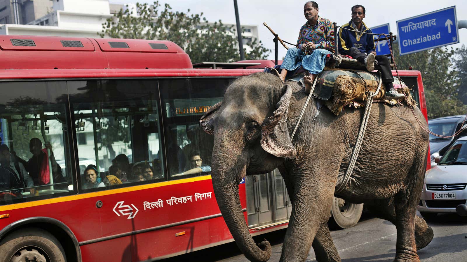 Elephants are more reliable than buses in India.