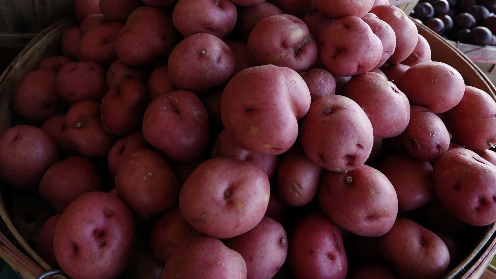 Cavemen loved starchy root vegetables, too.