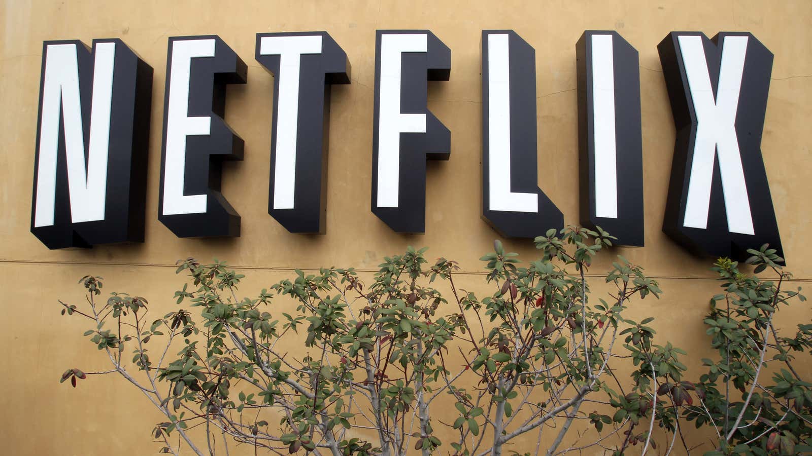 Netflix grows international roots.