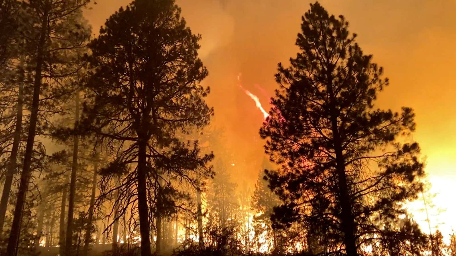 Bootleg Fire rages across central Oregon state.