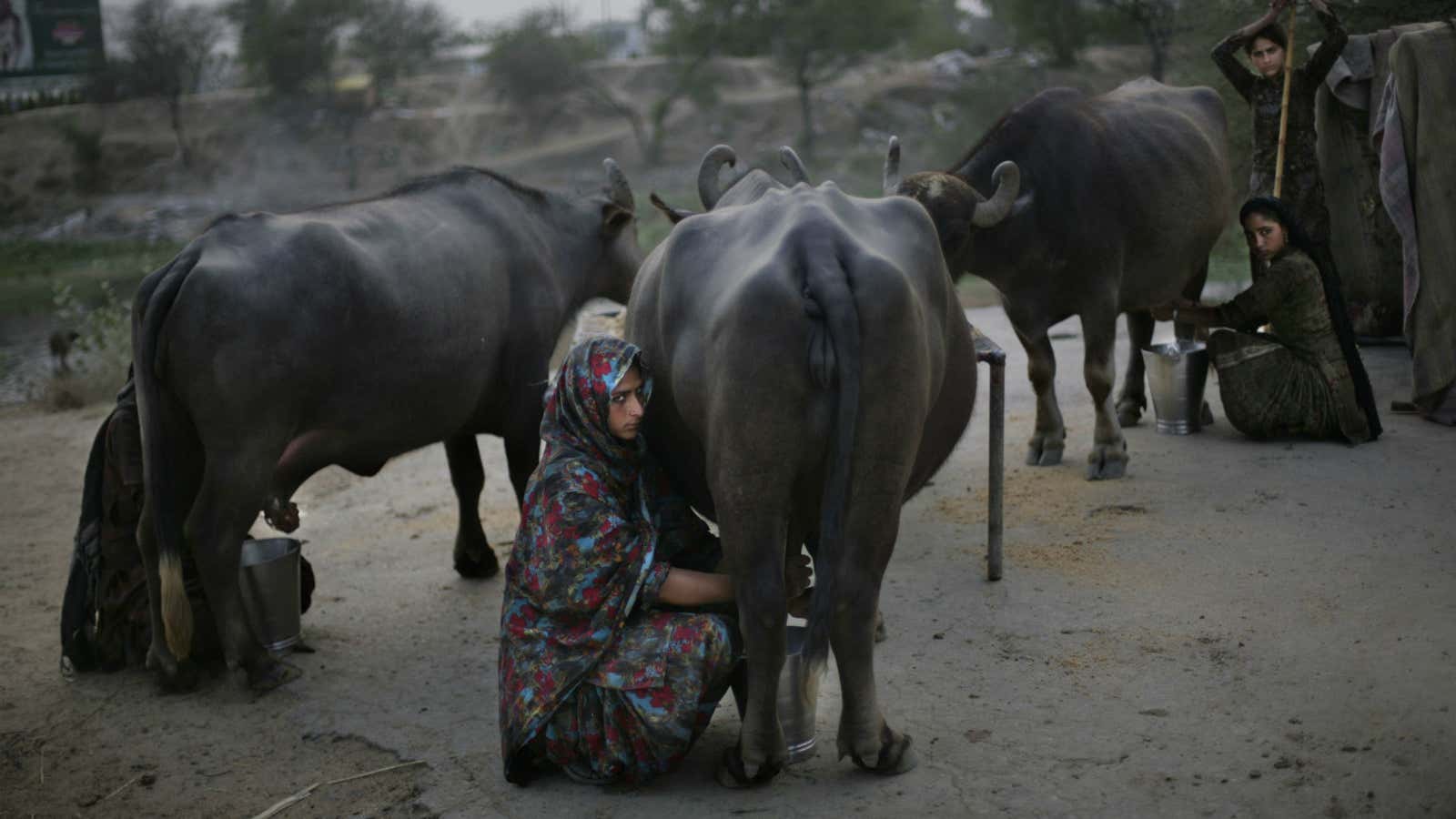 This is a hot job in India.