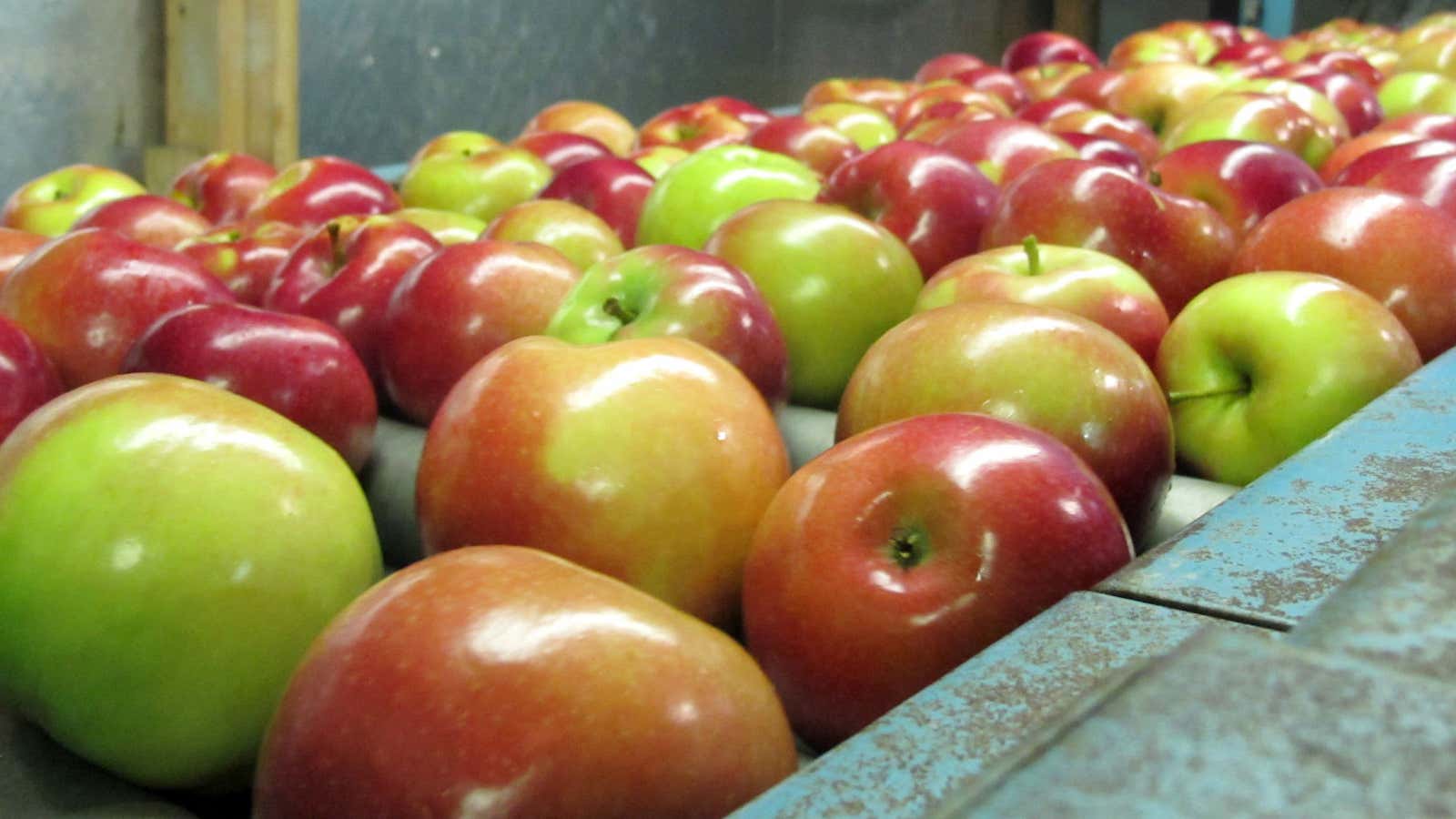 How to Wash Apples, According to Science