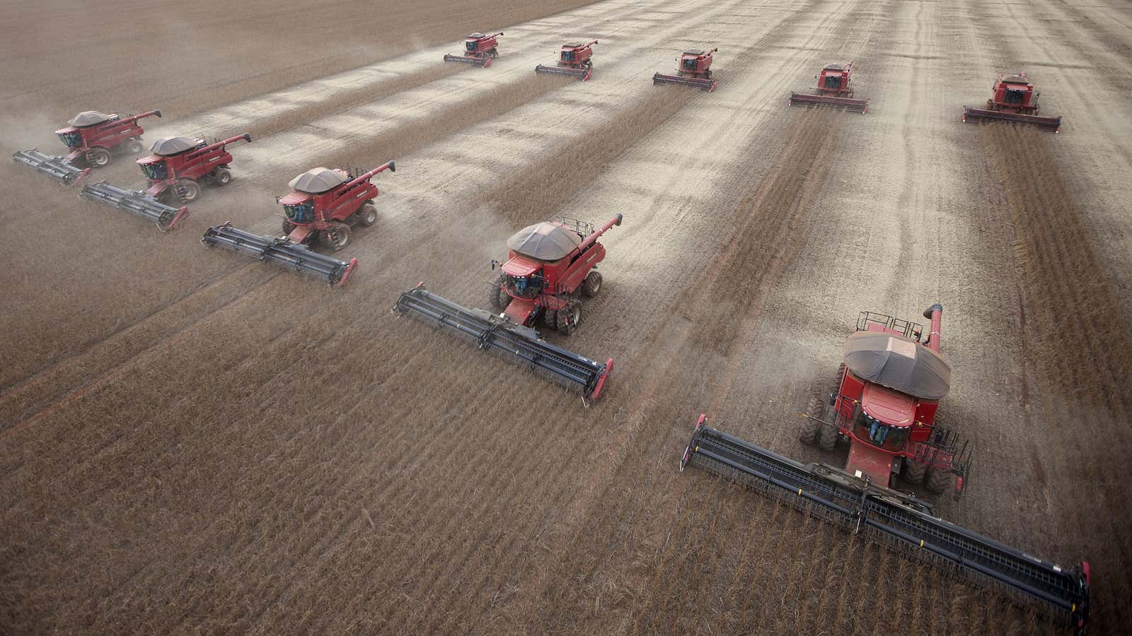 The soybean harvest is on in Mato Grosso.