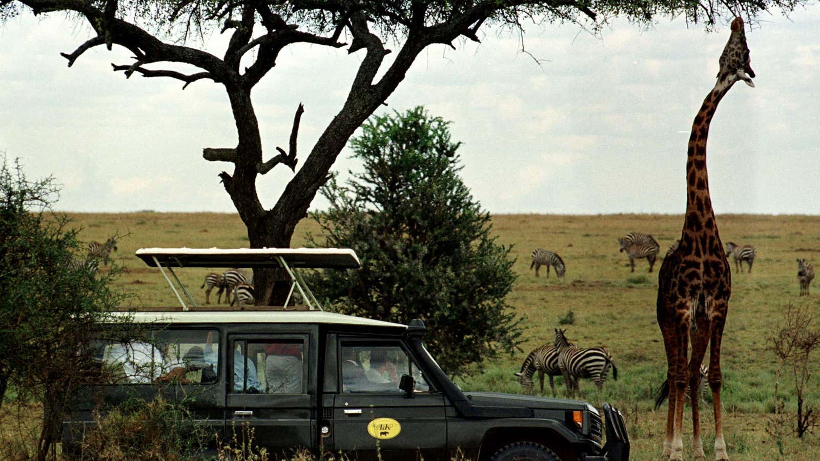 Serengeti Park