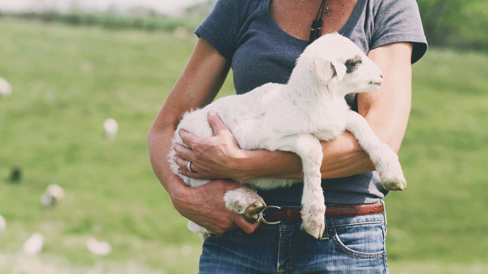 Nearly a third of American farmers are women.