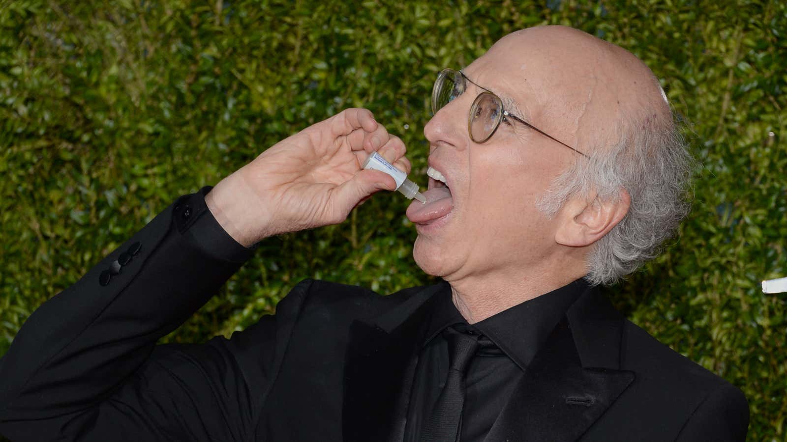 Larry David feels the Bern.