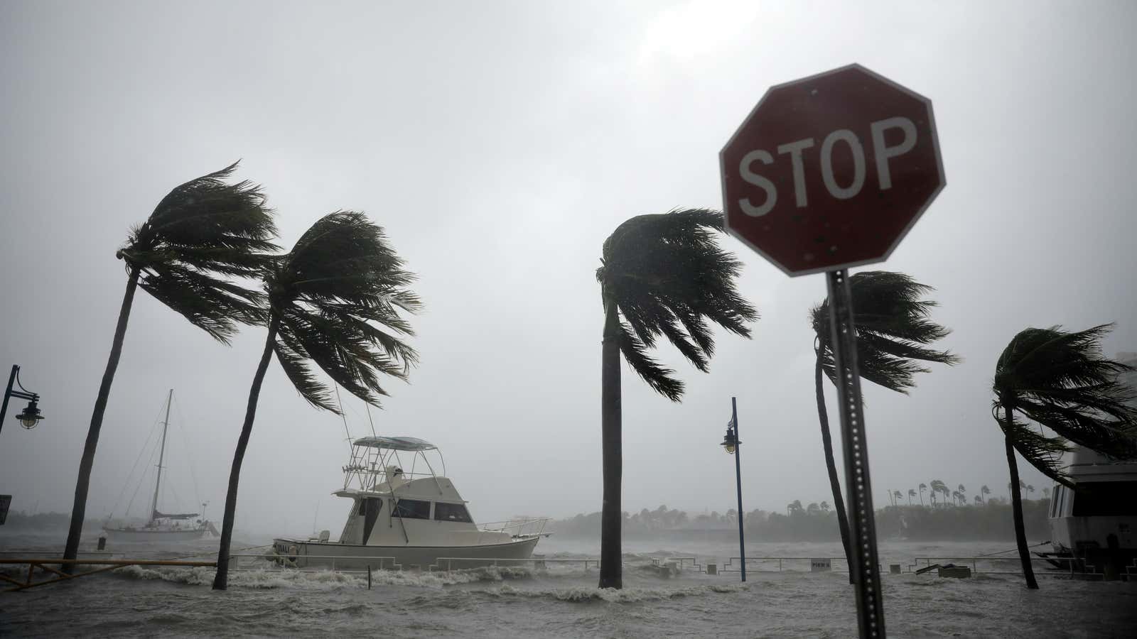 The tropical winds turn dangerous.