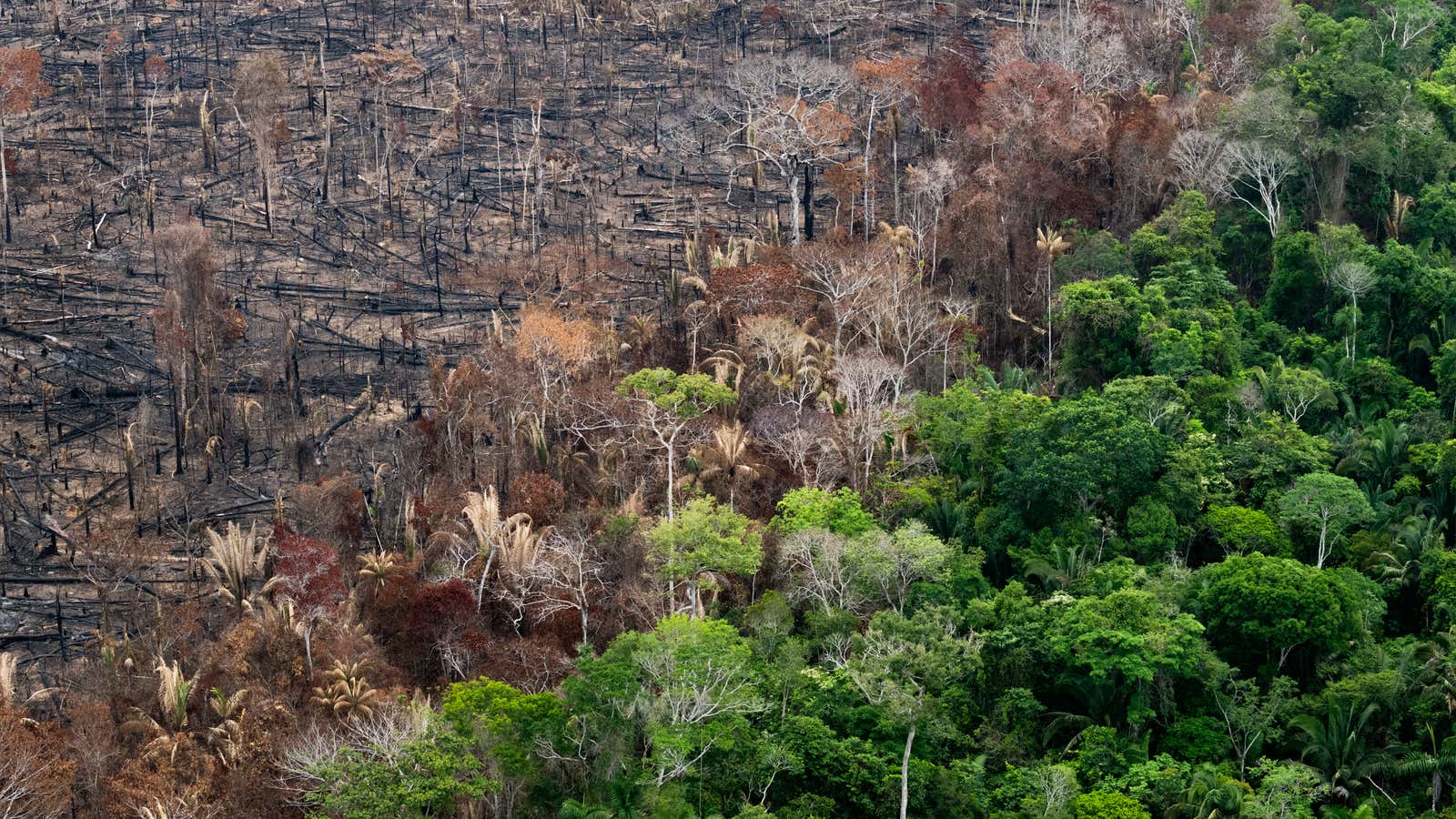 Captured in 2018, this aerial view of the Amazon rainforest outside the Parque Estadual de Guajara-Mirim in Brazil was captured by Daniel Beltrá, a Shortlisted Artist for Prix Pictet, the world’s leading award for photography and sustainability.