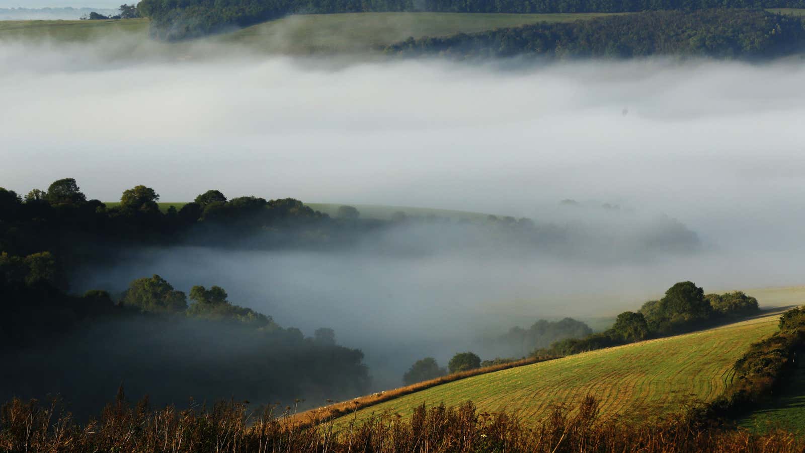 A pleasant land for the Greens?