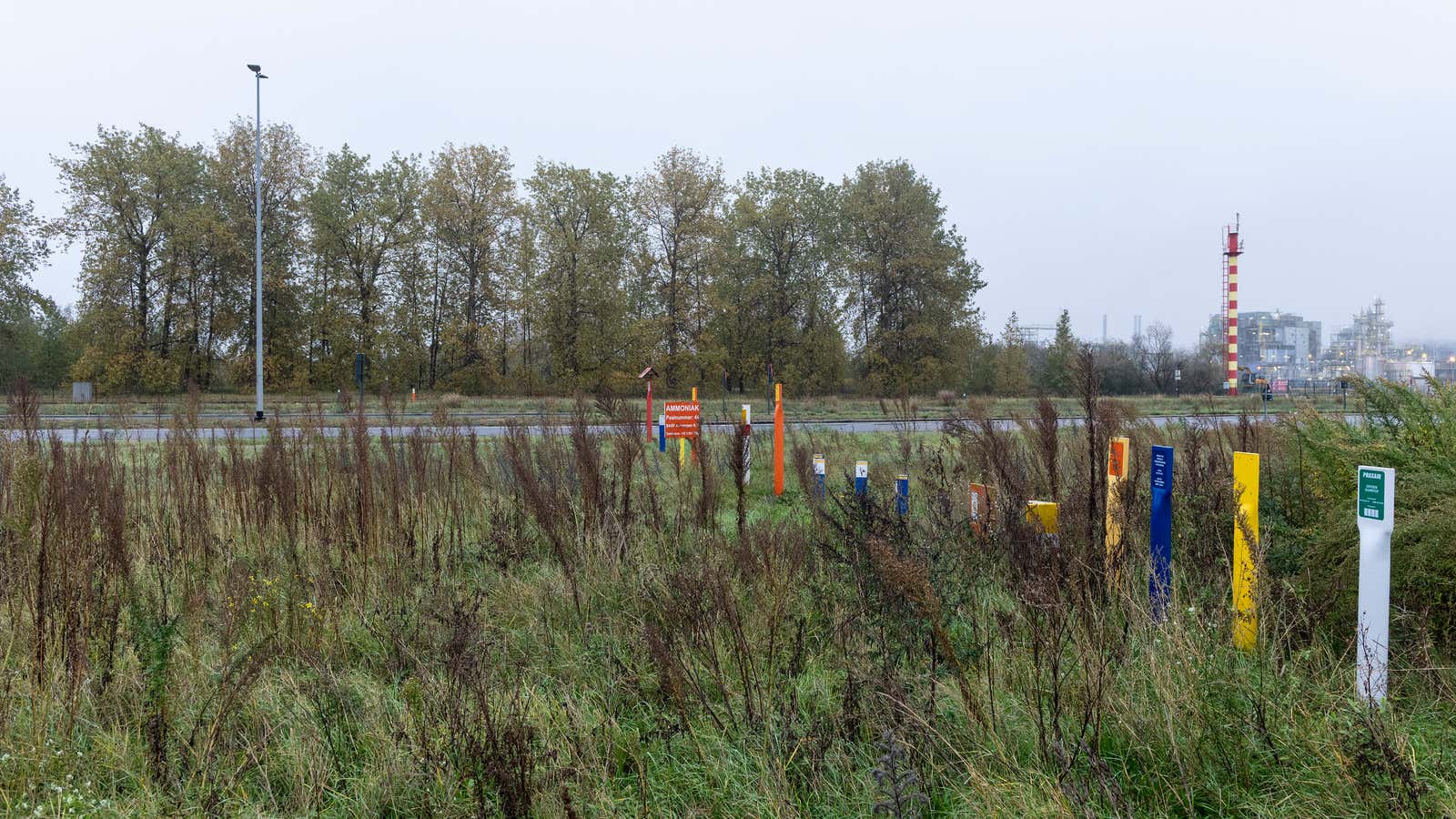 48 hectares of trees are slated to be cut at the site where Ineos plans to build its new plastic factory.