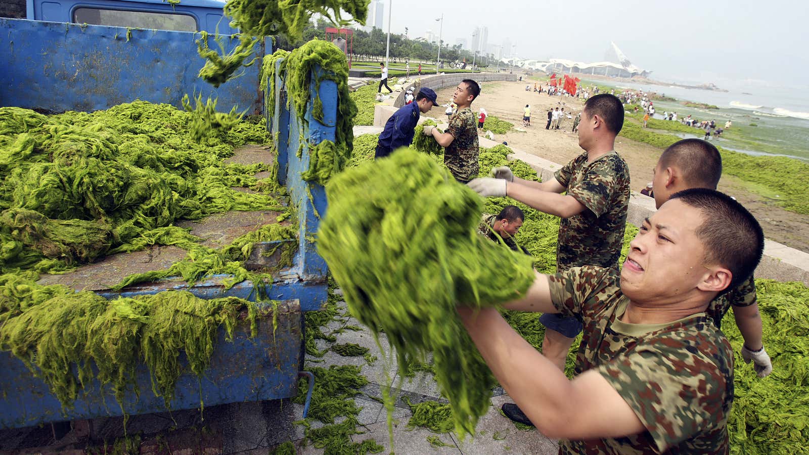 The Red Army battling green algae.