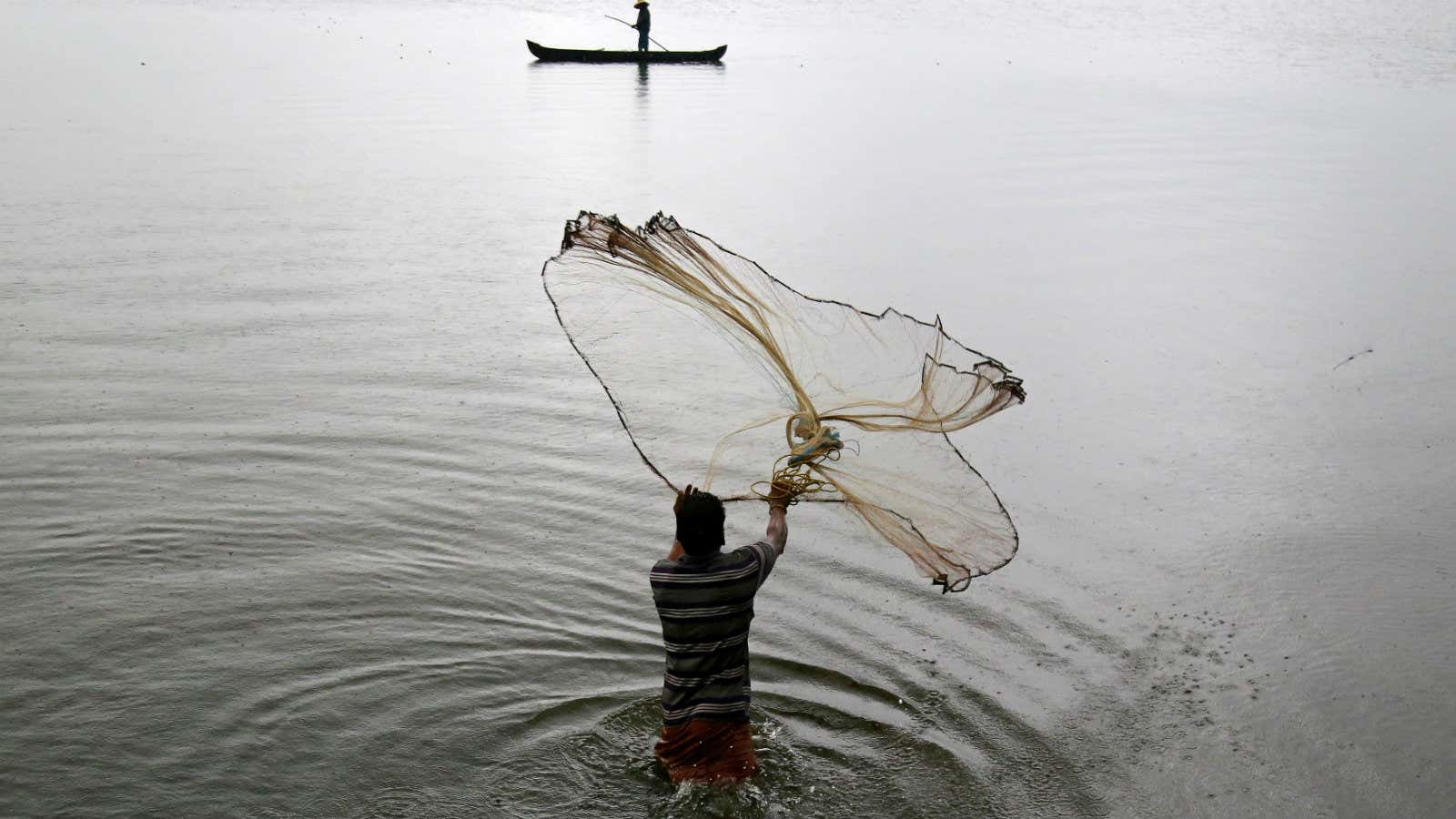 Purse seine nets for overfishing could be killing marine mammals in  Maharashtra: Experts | Mumbai news - Hindustan Times