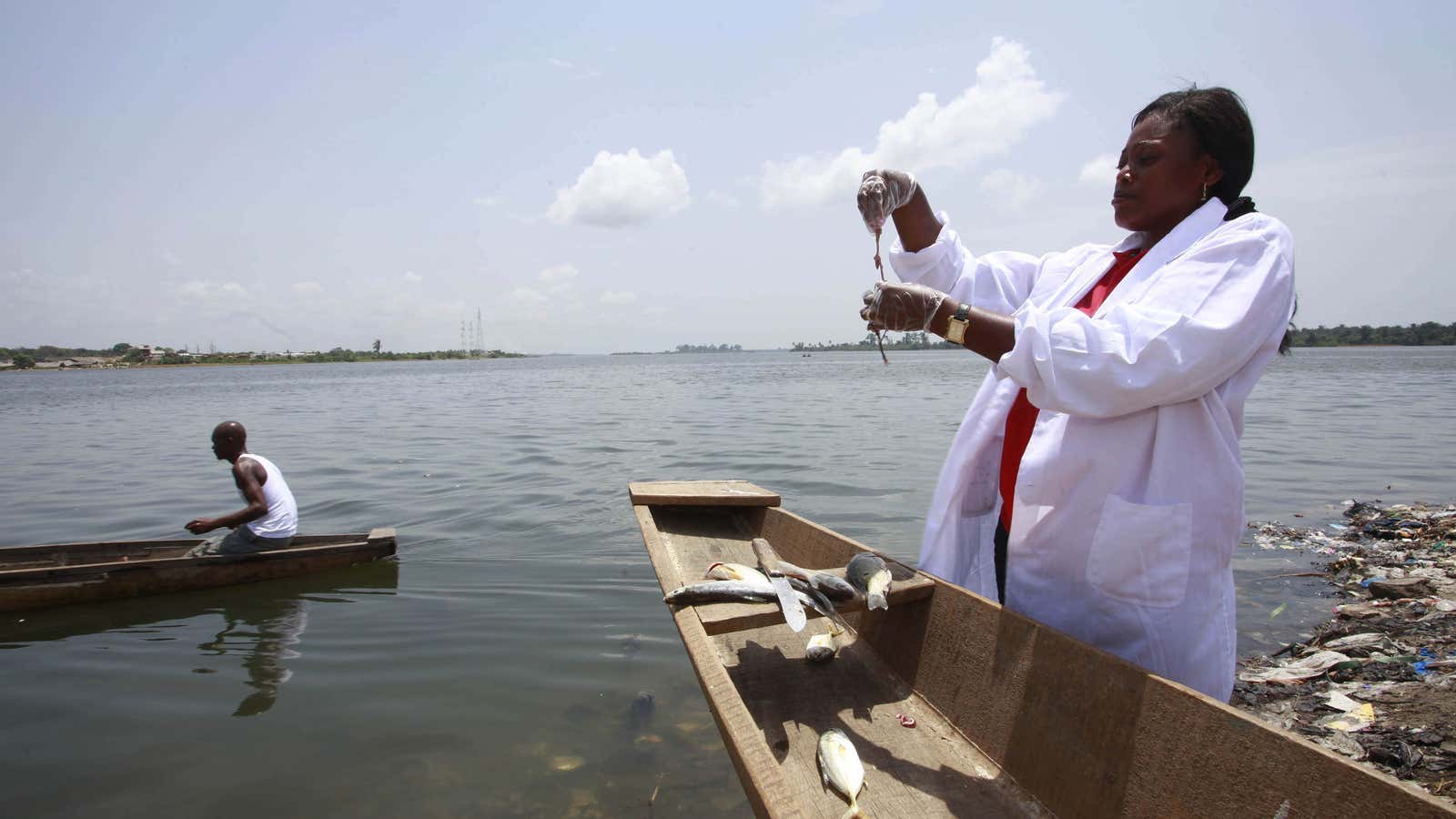 Africa has a wide range of talented scientists