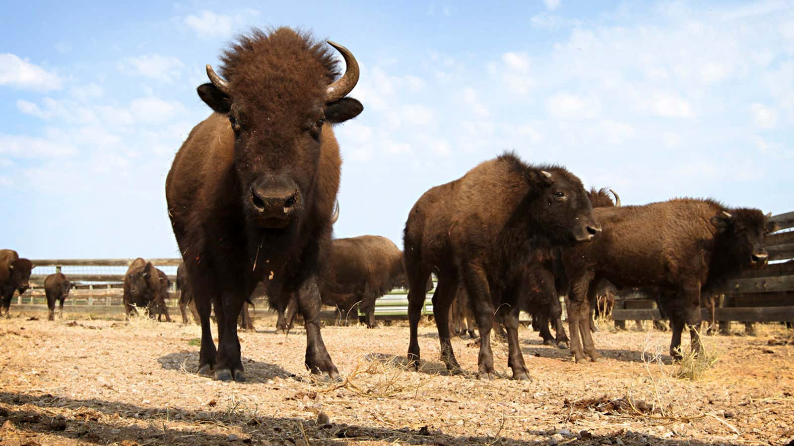 The National Park Service is not having any of it.