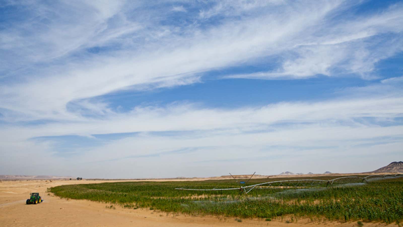 A farm outside of Cairo