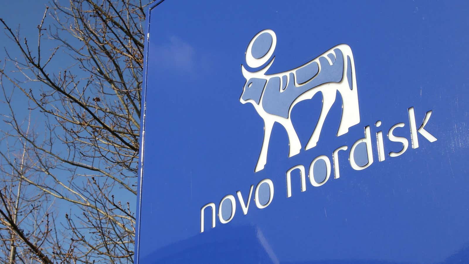 Image for Novo Nordisk struck a $600 million deal to find the next weight loss wonder drug