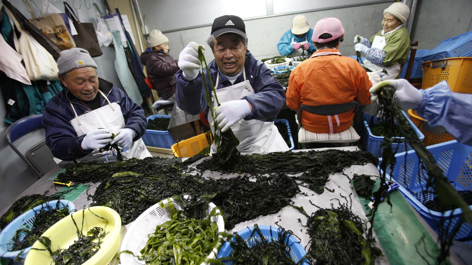 Fake seaweed: Chinese consumers on guard against fake news and
