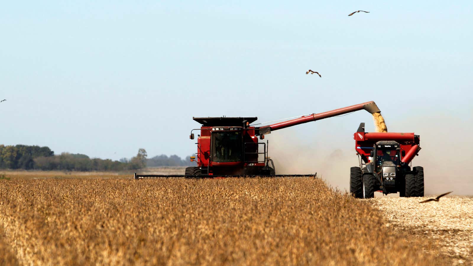 Record harvests are a crutch for Argentina’s trade surplus.