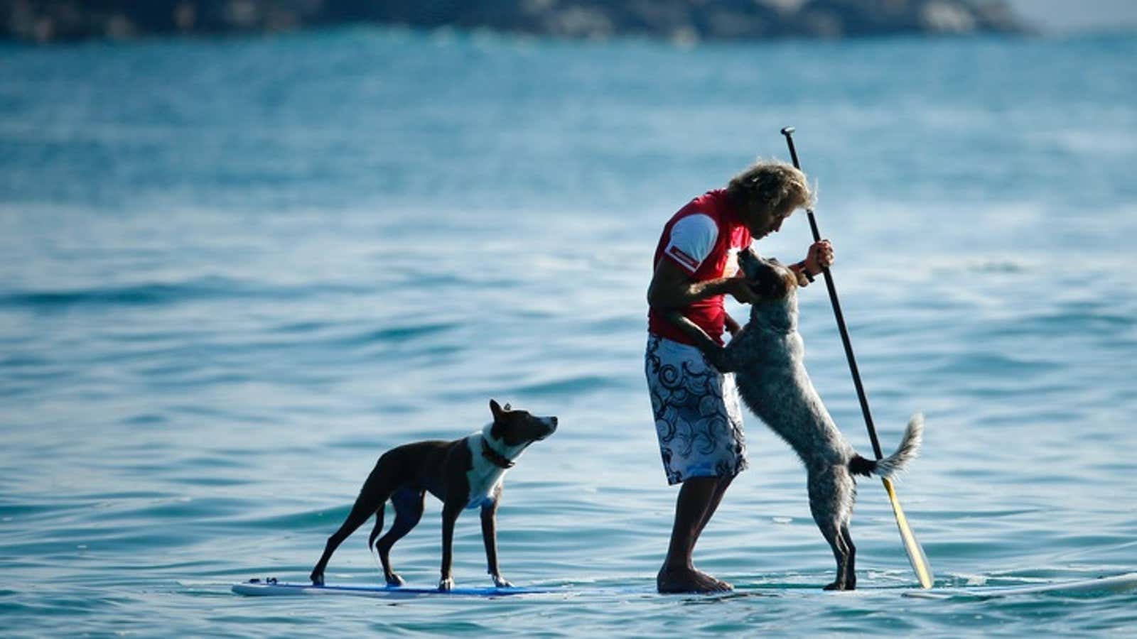 There’s a genetic reason your dog would walk on water for you.