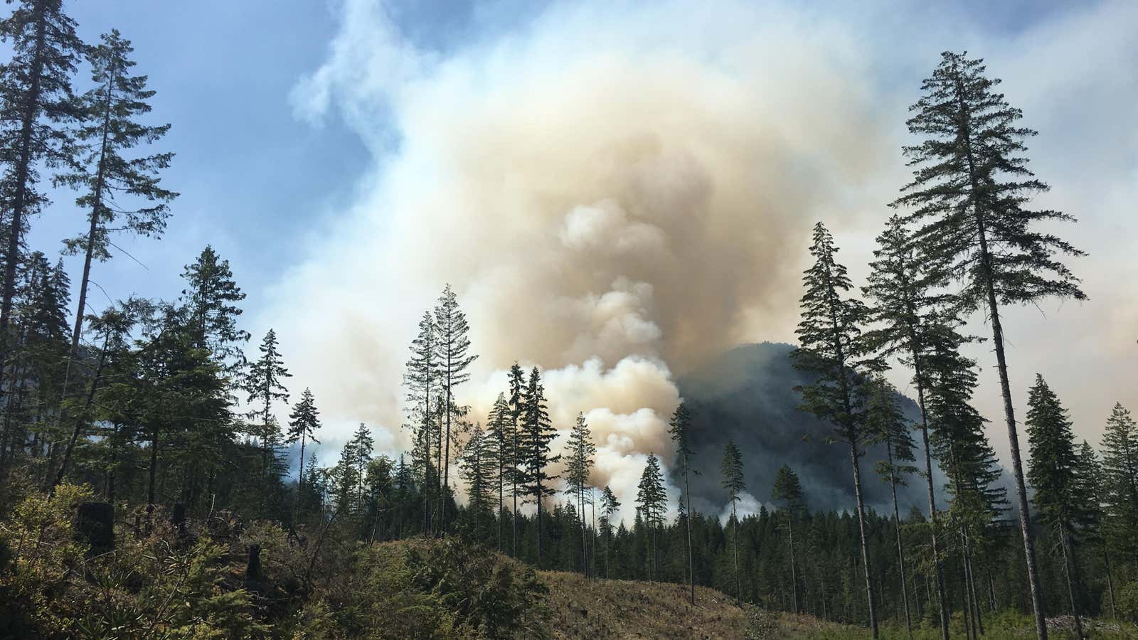 Smoke from the Maple Fire drifted toward Seattle, ruining air quality.